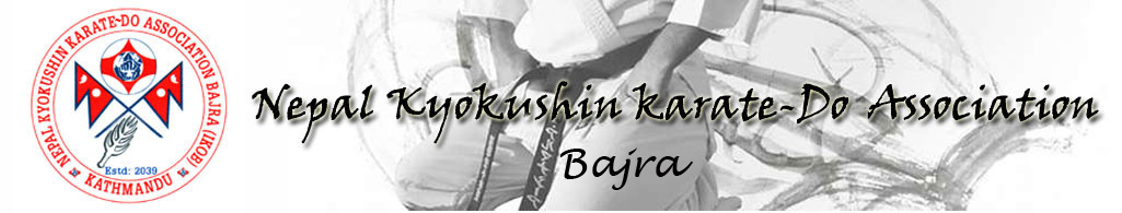 Kyokushin banner